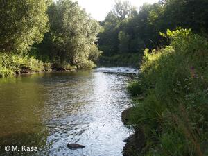 Petřvald
