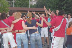 Mezinárodní folklorní festival Frýdek-Místek