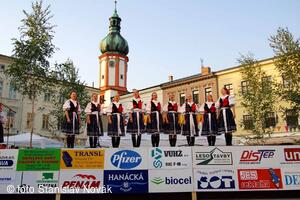 Mezinárodní folklorní festival Frýdek-Místek