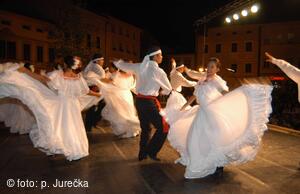 Mezinárodní folklorní festival Frýdek-Místek