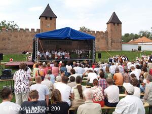 Folklorní festival Polabská Vonička