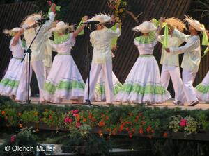 Mezinárodní folklorní festival Liptálské slavnosti