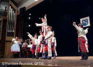 Mezinárodní folklorní festival Folklor bez hranic