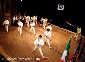 Mezinárodní folklorní festival Folklor bez hranic