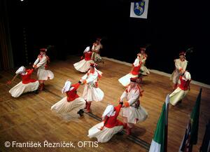 Mezinárodní folklorní festival Folklor bez hranic