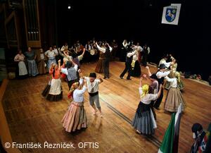 Mezinárodní folklorní festival Folklor bez hranic