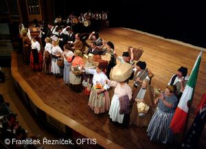Mezinárodní folklorní festival Folklor bez hranic