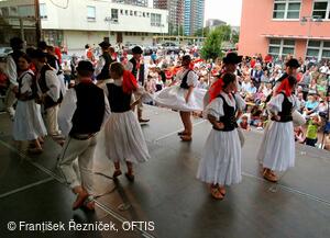 Mezinárodní folklorní festival Folklor bez hranic