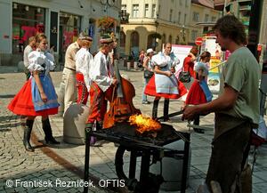 Mezinárodní folklorní festival Folklor bez hranic