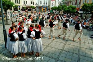 Mezinárodní folklorní festival Folklor bez hranic