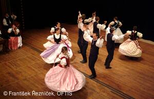 Mezinárodní folklorní festival Folklor bez hranic