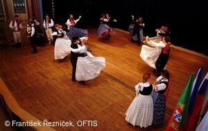 Mezinárodní folklorní festival Folklor bez hranic