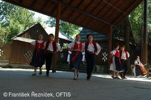 Folklorní festival Slezské dny