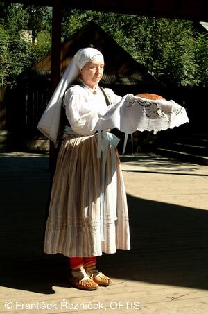 Folklorní festival Slezské dny