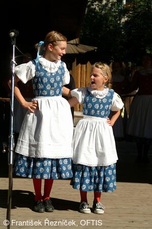 Folklorní festival Slezské dny