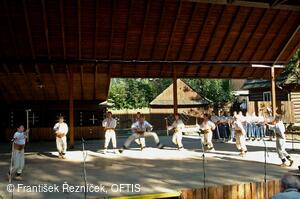 Folklorní festival Slezské dny
