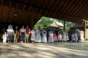 Folklorní festival Slezské dny