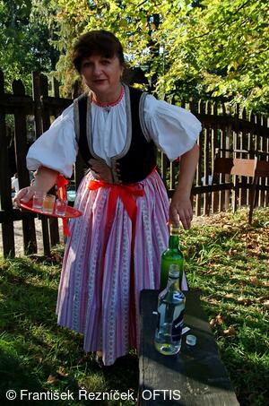 Folklorní festival Slezské dny