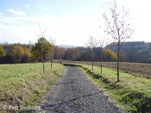 Víceúčelový lázeňský okruh Teplice nad Bečvou