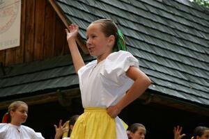 Folklorní sdružení PÚČIK