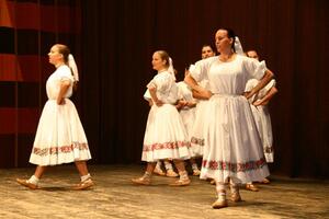 Folklorní sdružení PÚČIK