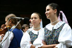 Folklorní sdružení PÚČIK