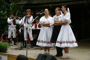 Folklorní sdružení PÚČIK
