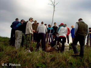 Petřvald