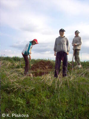 Petřvald