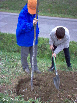 Petřvald