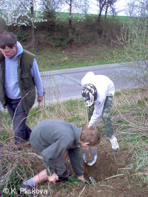 Petřvald