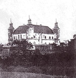 Dívčí Hrad, nejstarší fotografie zámku Maidelberg z konce 19.století