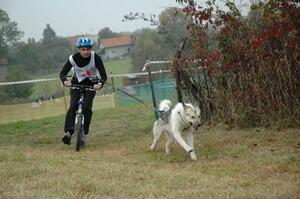 Trnávský sprint 2. ročník 14.-15.10.2006