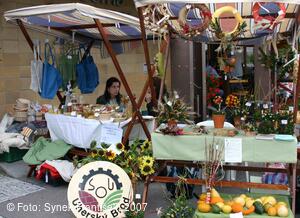 Mezinárodní folklorní festival Písní a tancem