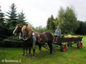 koňské spřežení p.Šustka