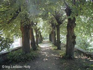 Tovačov, Zámek - hradby