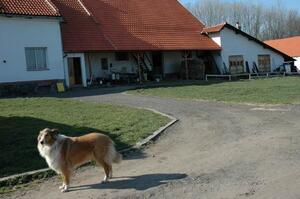 MAS Železnohorský region
