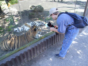 v Zoo