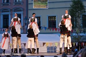Mezinárodní folklorní festival Frýdek-Místek