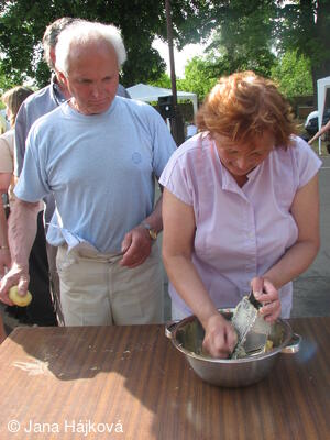 Trnávka