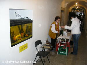 Vánoce v Perníkové chaloupce 2006