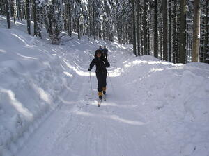 Skurečená 2009