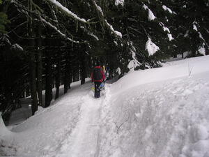 Skurečená 2009