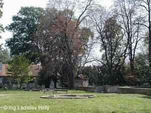 Tovačov, Zámek - zámecký park