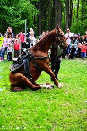 Slet čarodějnic 2009 - koňské show manželů Tomkových o přestávce soutěží