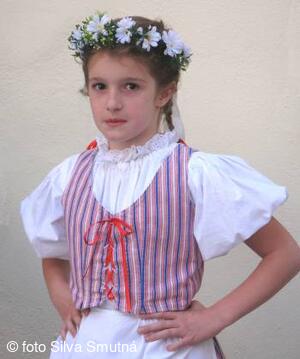 Muzejní spolek Velkobítešska