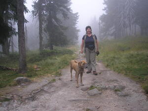 Krkonoše 2009