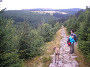 Krkonoše 2009