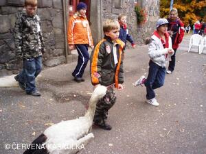 Perníkiáda 2009 - Čapí stoj na jedné noze
