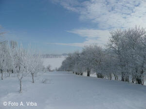 Mikroregion HORŇÁCKO